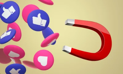 ¿Cómo obtener o recuperar tu Número de Seguridad Social?